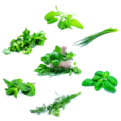 Bouquet of herbs with a mortar and pestle