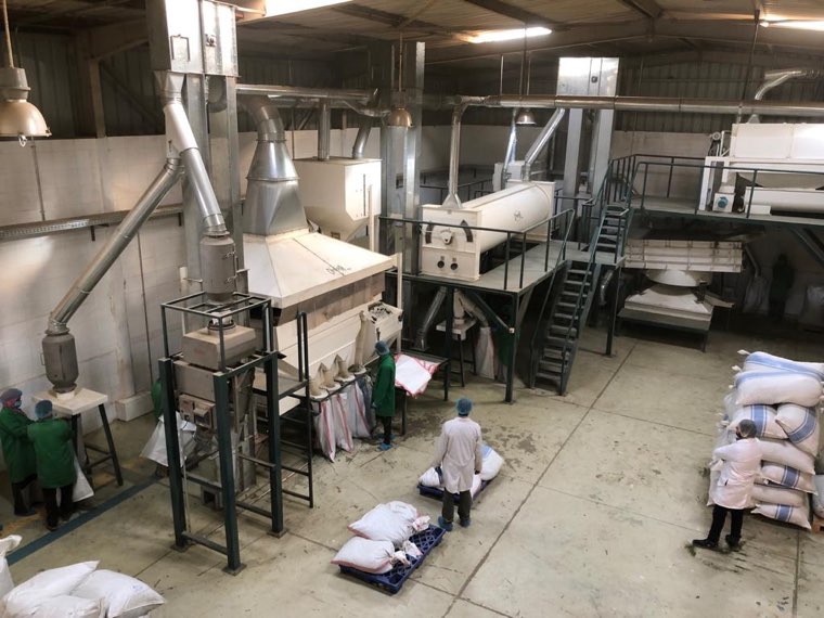 The cleaning and sizing hall, with destoners, sifters and extraction ducting on two levels and staff moving filled sacks